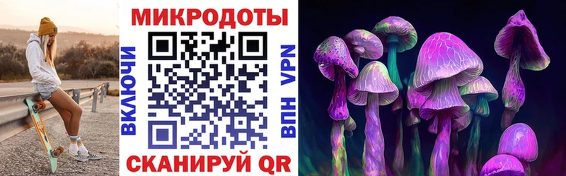 Галлюциногенные грибы мицелий  Новый Оскол 