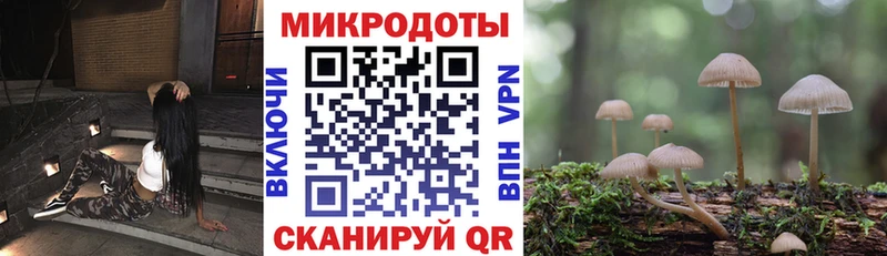 Галлюциногенные грибы мицелий Новый Оскол